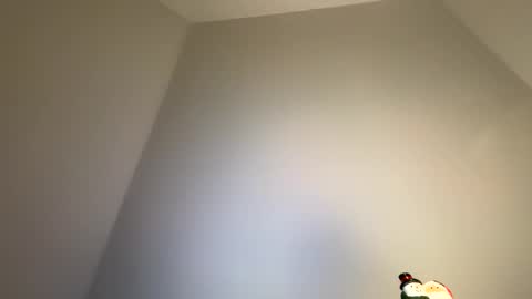 dachdecker7269 online show from February 9, 2026, 5:11 am