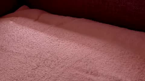 Snapshot of dad_next_door chatting on February 27, 2025, 9:58 pm Richard online show from February 27, 2025, 9:58 pm