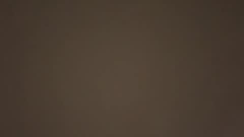 Daddy online show from January 17, 2026, 7:50 pm