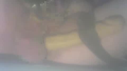 Snapshot of daddyslilcummwhore chatting on December 20, 2025, 7:59 am daddyslilcummwhore online show from December 20, 2025, 7:59 am