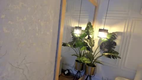 dafne_hillss online show from November 20, 2025, 12:16 pm