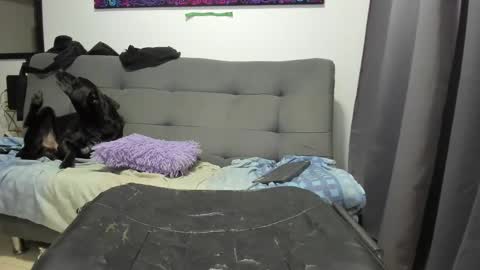 dahianna_27 online show from January 17, 2025, 8:45 am