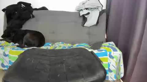 dahianna_27 online show from February 3, 2025, 4:52 pm