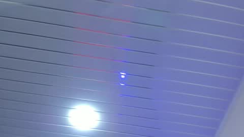 Daisy online show from November 3, 2025, 1:12 pm