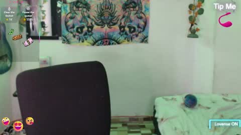 Dakko online show from July 1, 2026, 7:21 am