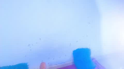 Snapshot of dakkotta_curvy chatting on September 16, 2025, 7:20 am VALENTINA online show from September 16, 2025, 7:20 am