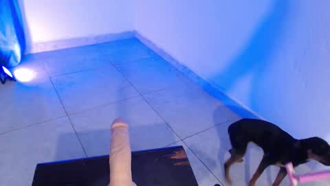 VALENTINA  online show from November 16, 2025, 7:41 pm