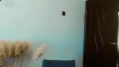 Snapshot of dalidayes chatting on February 13, 2026, 6:09 am Dali online show from February 13, 2026, 6:09 am