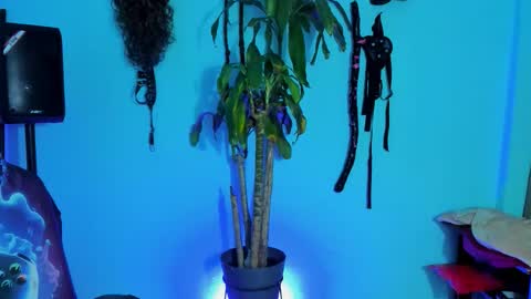 Snapshot of damian_torner chatting on October 28, 2025, 7:56 am Damian torner online show from October 28, 2025, 7:56 am