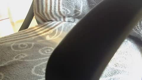 Snapshot of dammerl6 chatting on January 28, 2025, 8:25 am Dammerl online show from January 28, 2025, 8:25 am