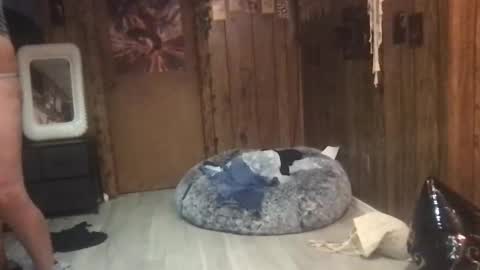 Snapshot of danamaris666 chatting on September 25, 2025, 7:28 pm DanaMaris666 online show from September 25, 2025, 7:28 pm