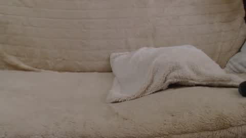 Daniella online show from January 27, 2025, 11:00 am