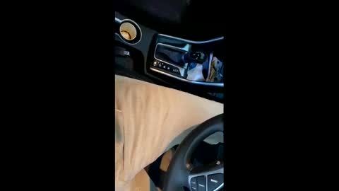 danbubs online show from December 16, 2024, 10:45 pm