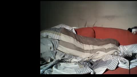 Snapshot of dane1982 chatting on January 1, 2025, 4:39 pm dane1982 online show from January 1, 2025, 4:39 pm