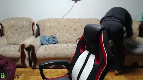 Snapshot of daniel_padalecki chatting on February 9, 2025, 5:11 pm Daniel online show from February 9, 2025, 5:11 pm