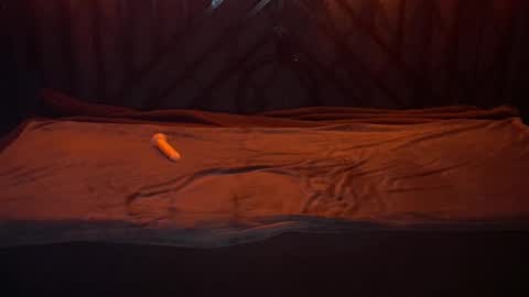 Snapshot of danielareign chatting on December 20, 2025, 7:26 am danielareign online show from December 20, 2025, 7:26 am