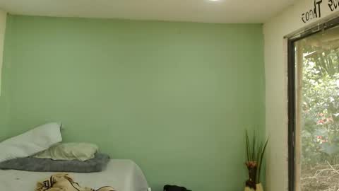 Snapshot of danielitopapii chatting on January 16, 2026, 4:00 pm danielitopapii online show from January 16, 2026, 4:00 pm