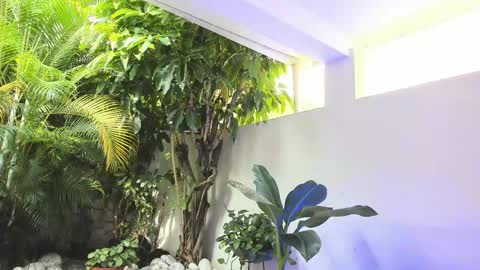 Dannamunoz130 online show from May 31, 2026, 1:29 pm
