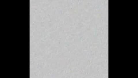 Dannyaa online show from October 6, 2025, 11:29 am