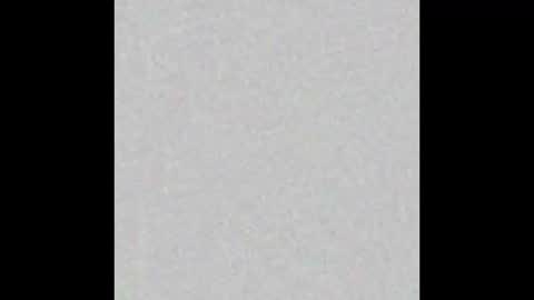 Dannyaa online show from December 15, 2025, 12:20 pm