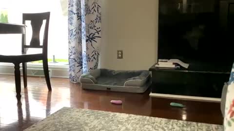 dannyboy621 online show from October 25, 2025, 1:18 pm