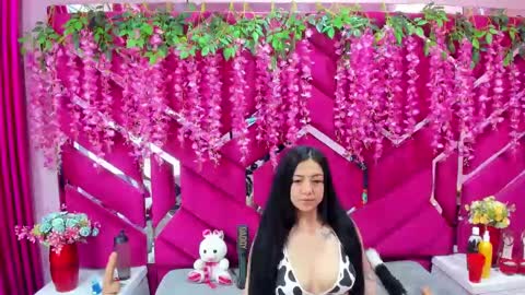 DanySwet online show from January 4, 2025, 12:38 pm