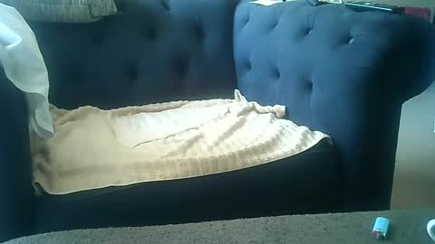 Snapshot of darkangelmarkos007 chatting on January 8, 2025, 9:01 pm DarkAngel online show from January 8, 2025, 9:01 pm