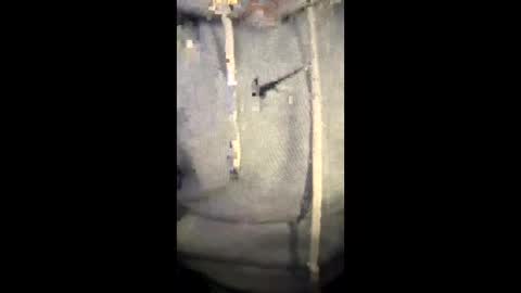 darklight69s25 online show from January 6, 2026, 8:45 pm