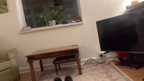 davadoodee online show from January 19, 2026, 1:42 am