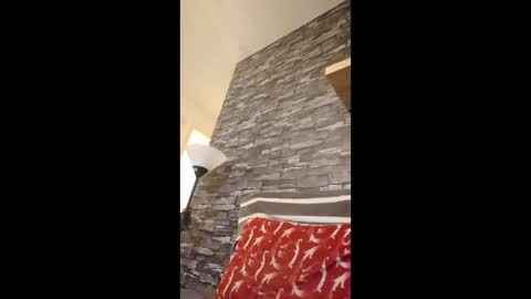 dave72303991 online show from February 27, 2026, 4:40 pm