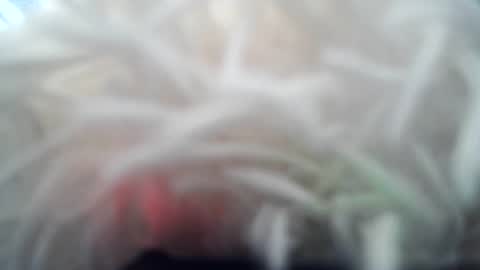 Snapshot of daverz3 chatting on March 4, 2026, 8:42 am daverz3 online show from March 4, 2026, 8:42 am