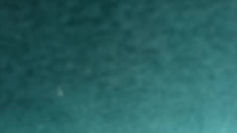 davidf75 online show from November 12, 2025, 9:42 am