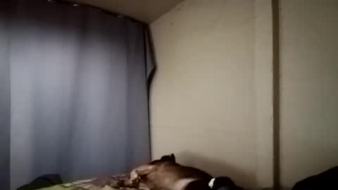 Juice cock online show from December 11, 2024, 4:18 am