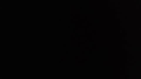 dav online show from February 27, 2025, 11:20 am