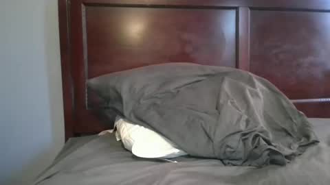 dbm1620 online show from November 2, 2025, 8:33 pm