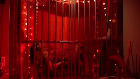 Snapshot of ddevourskitty chatting on February 15, 2026, 5:37 am D Devours Kitty online show from February 15, 2026, 5:37 am