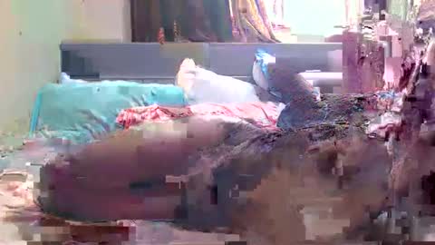 debbyslatter online show from February 21, 2025, 9:13 am