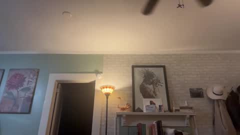 Tori online show from December 14, 2025, 5:13 am