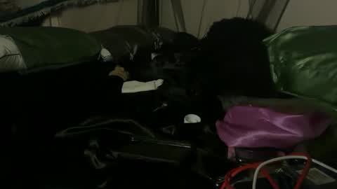 delightfuldark online show from October 3, 2025, 11:07 am