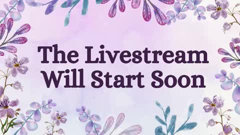 DeLite  Next stream on Wednesday or Thurdsay  online show from October 11, 2025, 11:20 am