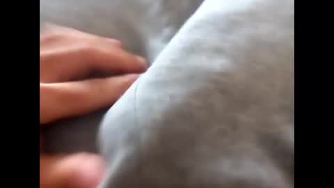 deliv_shopi online show from November 17, 2025, 1:50 pm