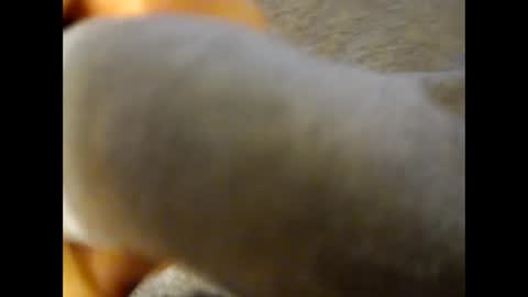 deliv_shopi online show from November 25, 2025, 4:18 pm