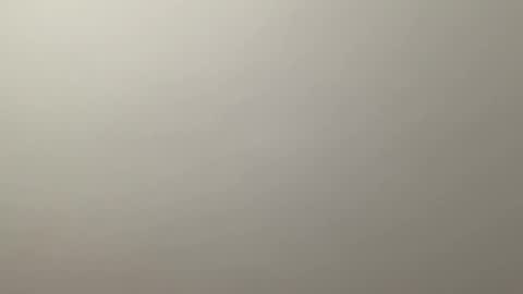 Delivery      online show from December 19, 2024, 12:34 am