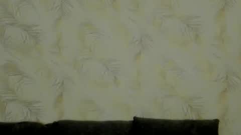 Snapshot of dennis_munera chatting on December 2, 2024, 10:28 am dennis munera online show from December 2, 2024, 10:28 am