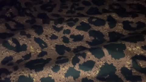 Snapshot of derek829099 chatting on September 11, 2025, 6:57 am derek829099 online show from September 11, 2025, 6:57 am