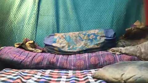 desi_boy799417 online show from March 23, 2026, 9:46 am