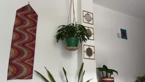 Snapshot of desidias chatting on October 22, 2025, 9:03 pm Desidias online show from October 22, 2025, 9:03 pm