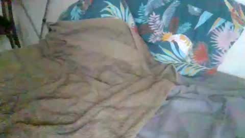 Snapshot of dexterwatchme chatting on January 15, 2026, 11:15 am dexterwatchme online show from January 15, 2026, 11:15 am