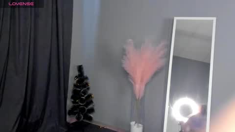 Snapshot of dianne_davis chatting on January 30, 2025, 9:36 am Dianne online show from January 30, 2025, 9:36 am