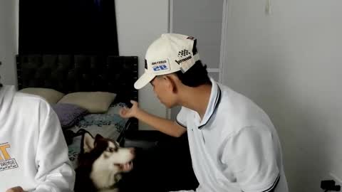 dick online show from December 2, 2025, 12:10 pm